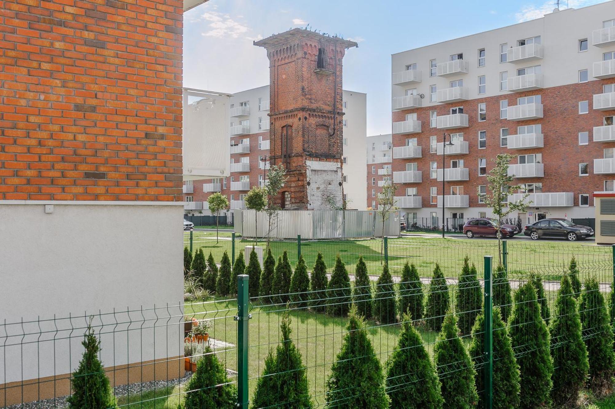 Lumina Comfy * Lodz (Lodz)