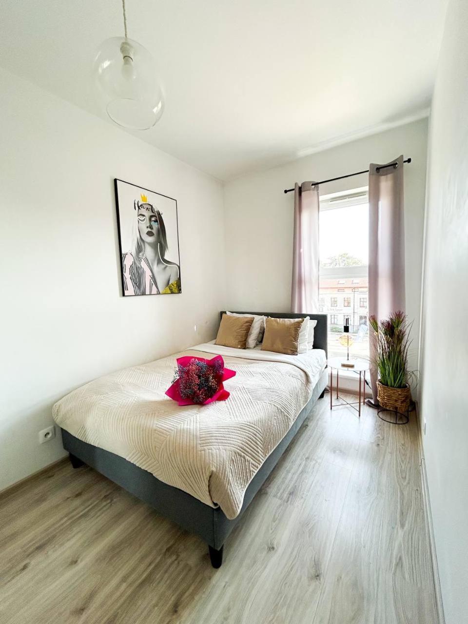Lumina Comfy Apartment